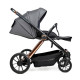  Детская коляска 3в1 Ninos Estrella Grey Gold