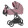 Alfa Rouge Pink