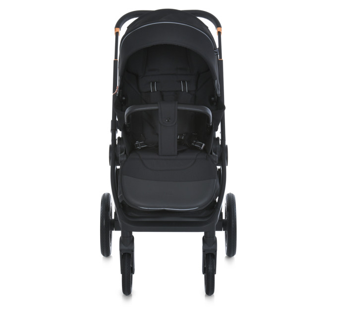 Коляска універсальна 2в1 ME 1100-1 ERA Black Ink